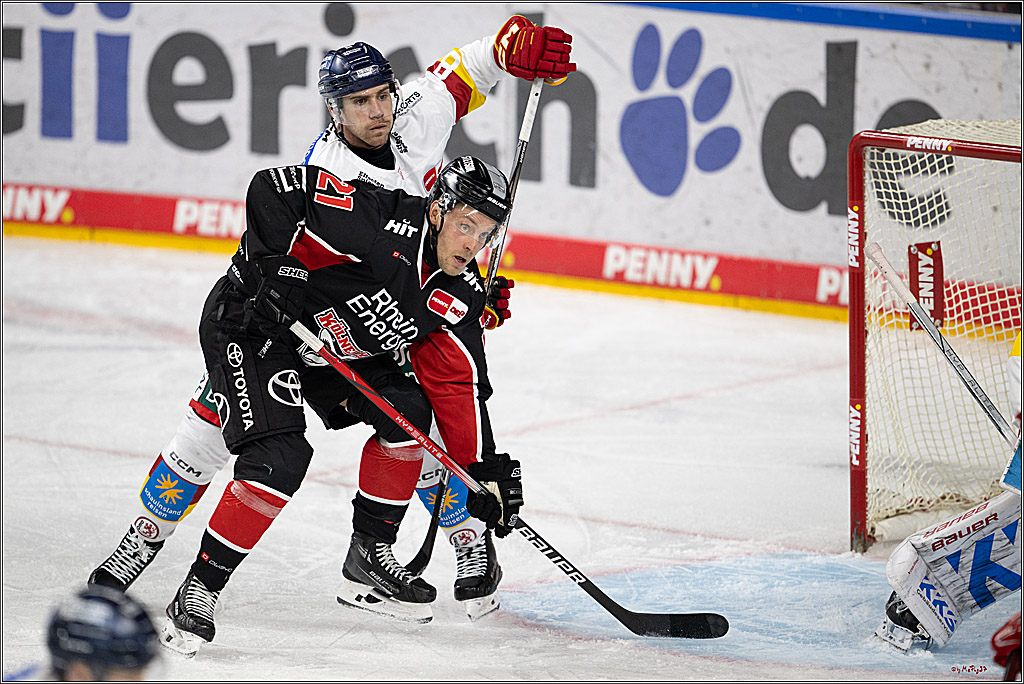 PENNY DEL 1; Kölner Haie - Düsseldorfer EG ; Köln, 16.02.2025
